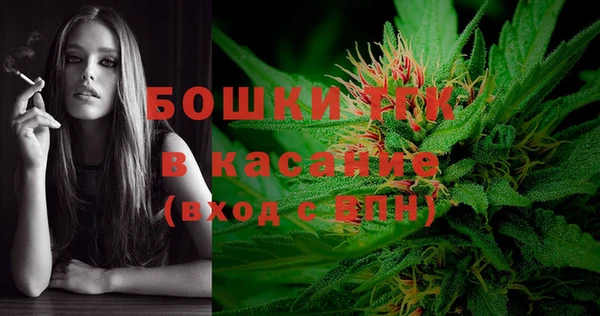 ПСИЛОЦИБИНОВЫЕ ГРИБЫ Белоозёрский