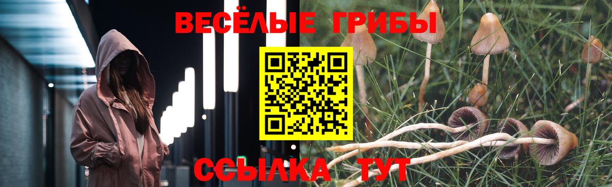 Галлюциногенные грибы GOLDEN TEACHER Луховицы