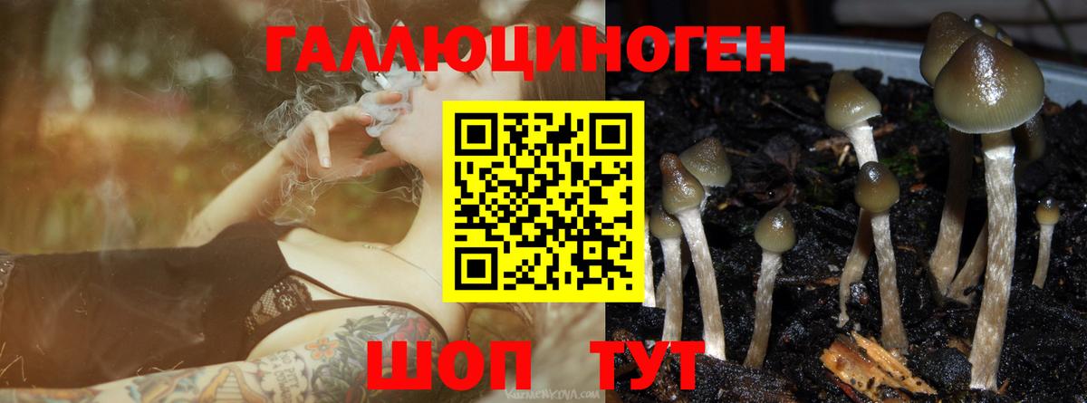 Амфетамин   Конопля  Луховицы  ГАШИШ  Вход с VPN  МЕФ кристаллы  COCAIN 